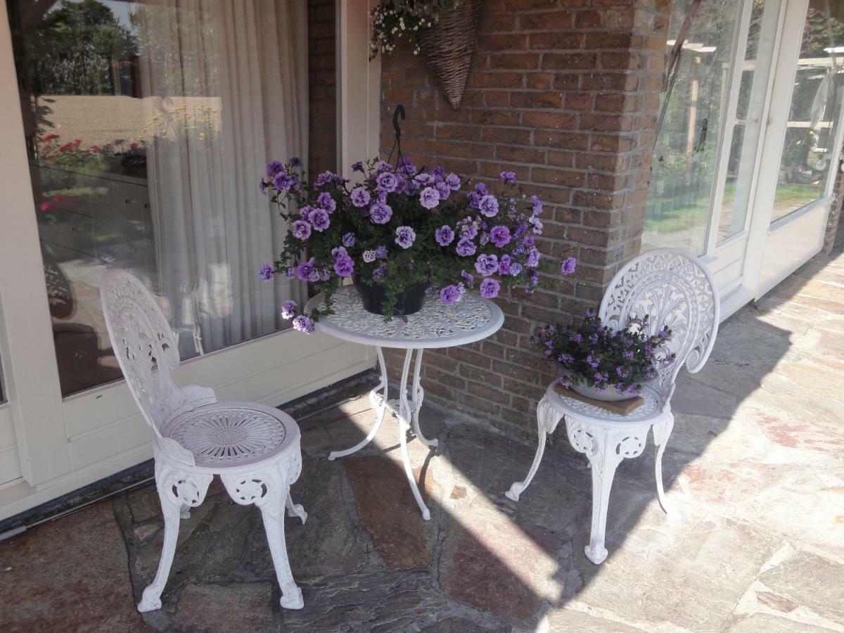 Riethove Bed and Breakfast Harlingen Buitenkant foto