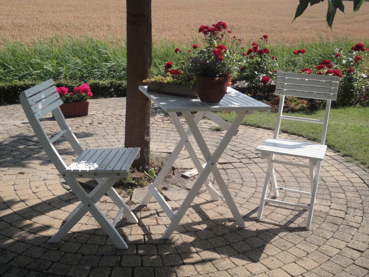 Riethove Bed and Breakfast Harlingen Buitenkant foto