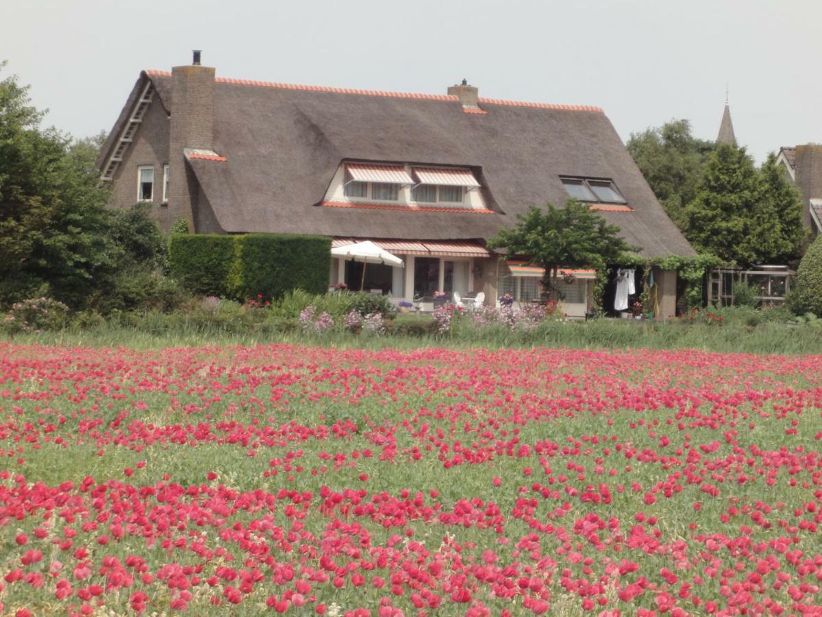 Riethove Bed and Breakfast Harlingen Buitenkant foto