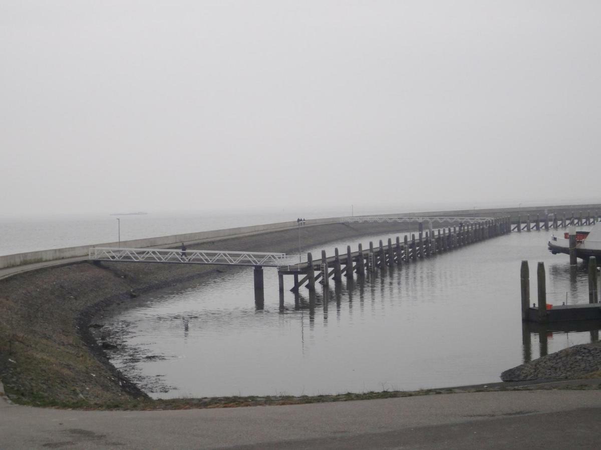 Riethove Bed and Breakfast Harlingen Buitenkant foto